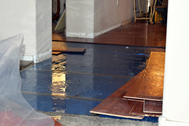 Professional Water Damage technician working in Highland Park, MI