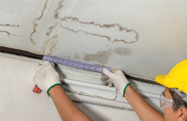 Reliable Water Damage contractor in Highland Park, MI by Water Damage Irwin
